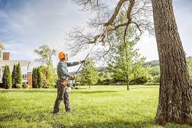 Professional Tree Removal and Landscaping Services in Brookhaven, WV